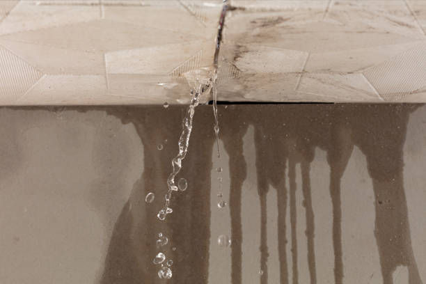 Professional Water Damage Repair technician working in East Flat Rock, NC